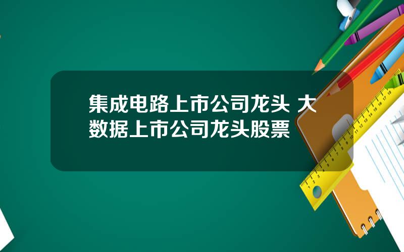 集成电路上市公司龙头 大数据上市公司龙头股票